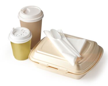 انواع ظروف یکبار مصرف فست فود