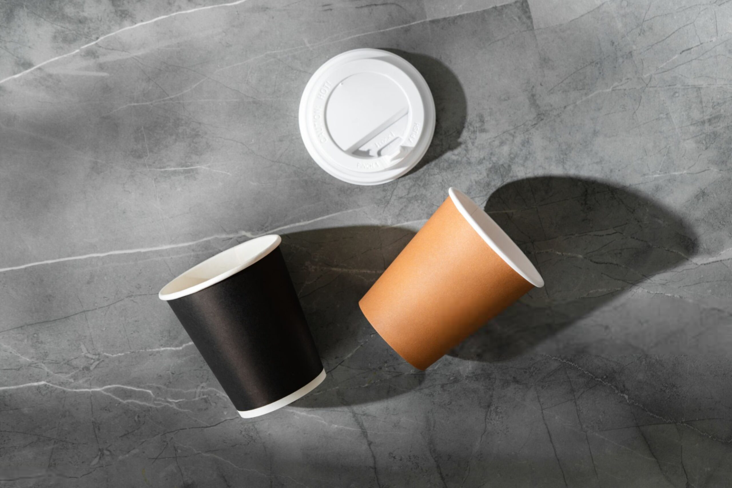 چالش هایی در بسته بندی نوین غذای فست فودها و کافه ها